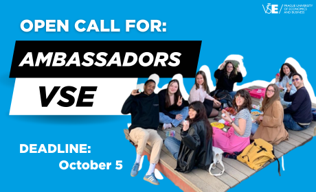 Open call for VSE Ambassadors 2025